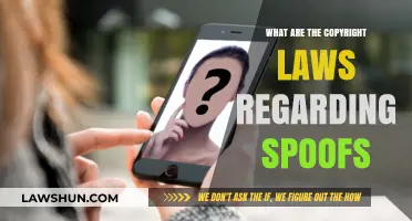 Spoofing and Copyright: Navigating Legal Boundaries for Parody Creators