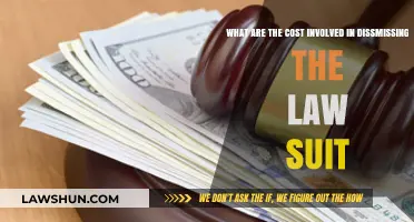 Understanding the Hidden Costs of Dismissing a Lawsuit: A Comprehensive Guide