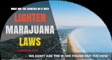 Florida Counties with Lenient Marijuana Laws: A Comprehensive Guide