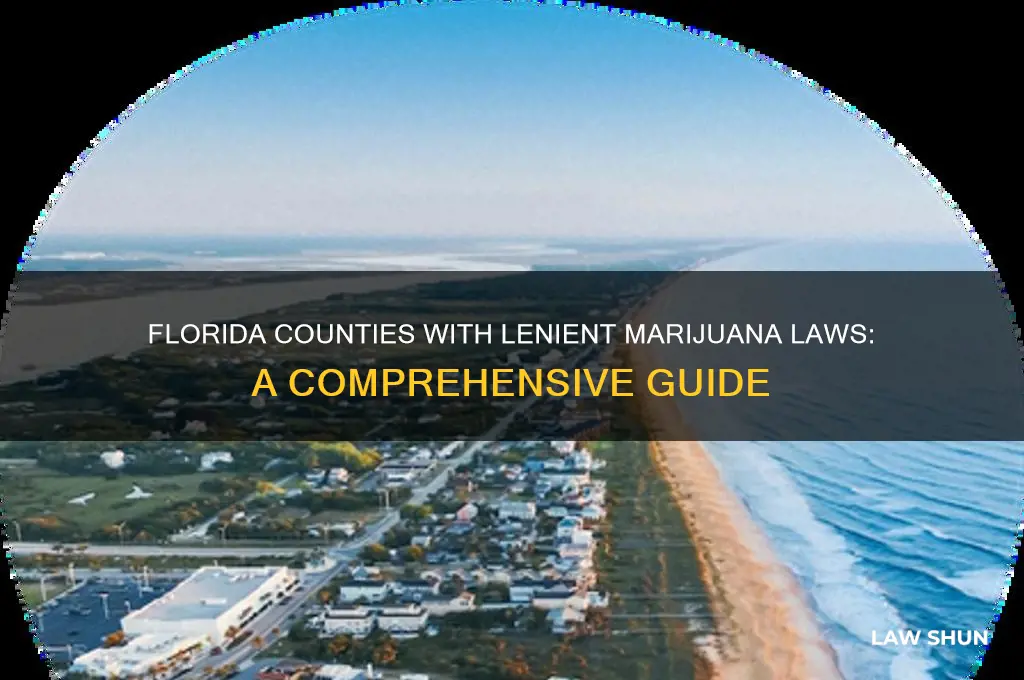 what are the counties in fl with lighter marajuana laws
