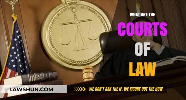 Understanding the Role and Function of Courts of Law