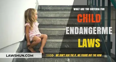 Understanding Child Endangerment Laws: Key Criteria and Legal Implications