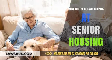 Connecticut Pet Laws for Senior Housing: What Residents Need to Know