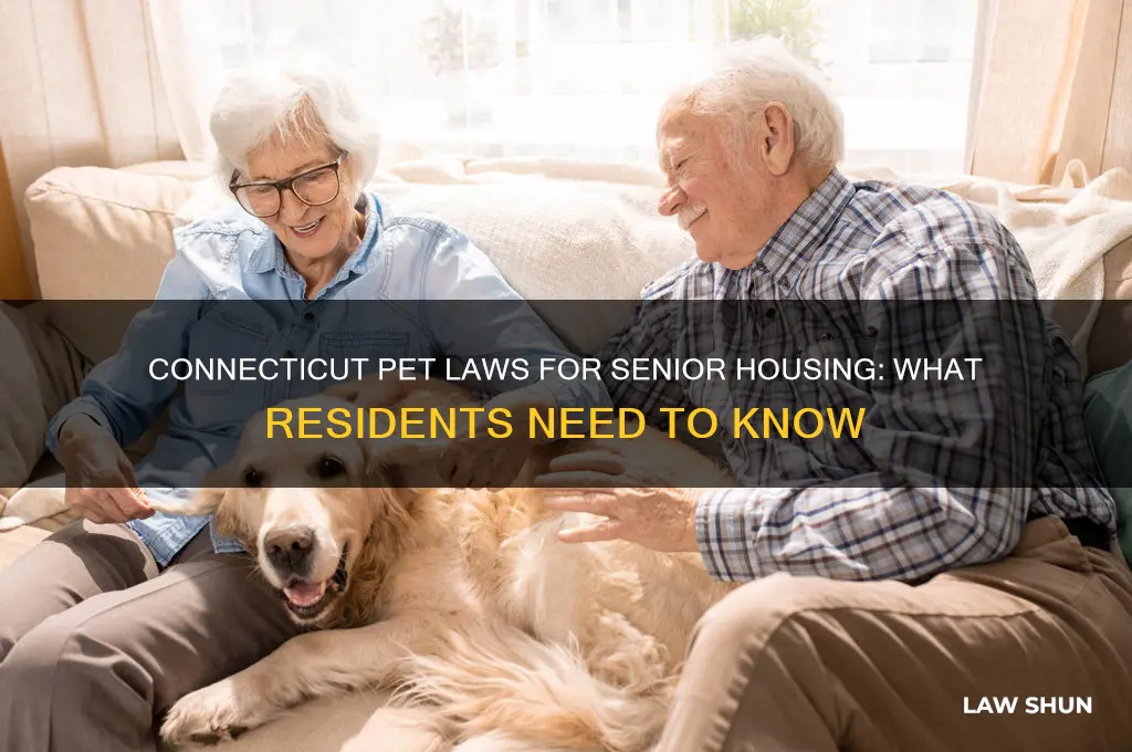 what are the ct laws for pets at senior housing