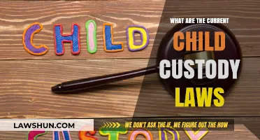 Understanding Current Child Custody Laws: A Comprehensive Guide for Parents