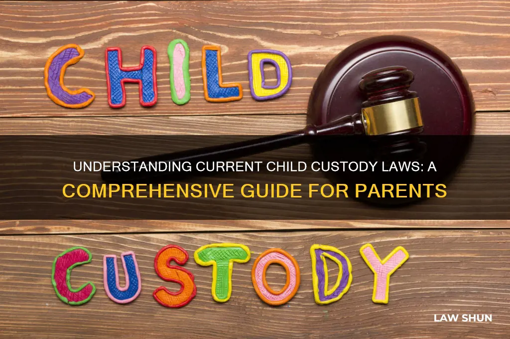 what are the current child custody laws