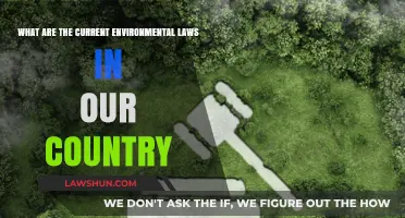 Understanding Our Nation's Current Environmental Laws and Their Impact