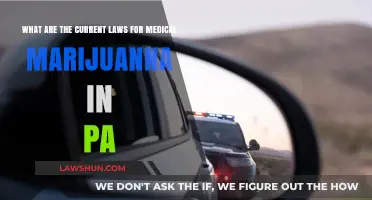 Pennsylvania's Medical Marijuana Laws: Current Regulations and Patient Rights Explained