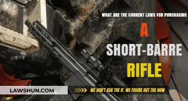 Current Short-Barreled Rifle Purchase Laws: What You Need to Know