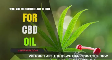 Iowa's CBD Oil Laws: Understanding Current Regulations and Legal Status