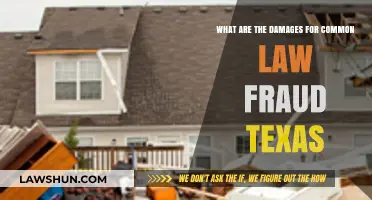 Understanding Fraud Damages in Texas Common Law