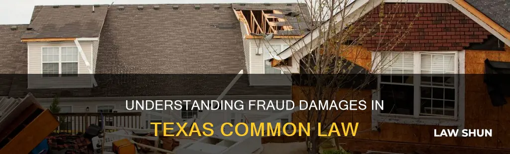 what are the damages for common law fraud texas