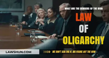 The Iron Law of Oligarchy: Hidden Dangers in Organizational Power Structures