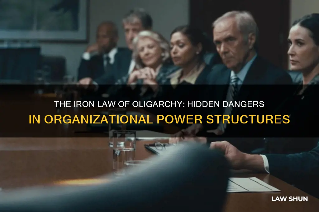 what are the dangers of the iron law of oligarchy
