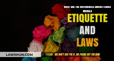 Exploring Ethics, Morals, Etiquette, and Laws: Understanding Differences