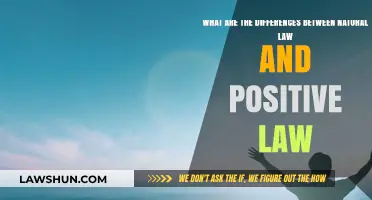 Natural vs. Positive Law: Key Differences Explained