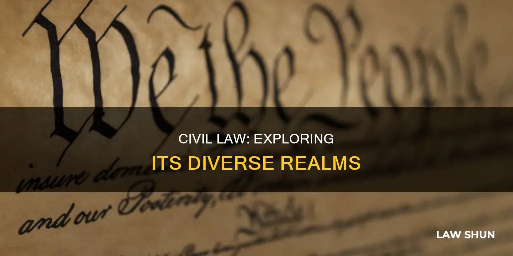 what are the different areas of civil law