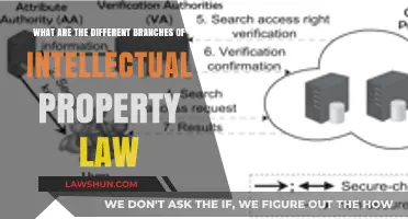 Explore the Diverse Branches of IP Law