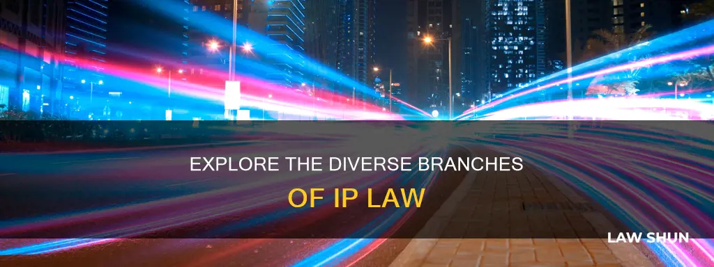 what are the different branches of intellectual property law