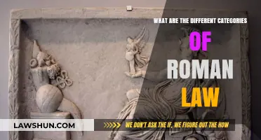 Exploring Roman Law: Categories and Their Influence