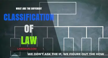Exploring the Diverse Branches of Law