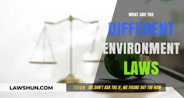 Environmental Legislation: Understanding Our Planet's Legal Protections