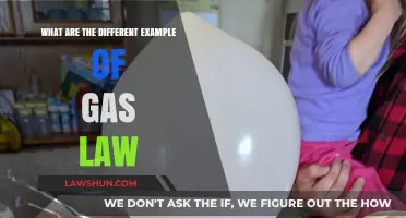 Gas Laws: Understanding the Behavior of Gases
