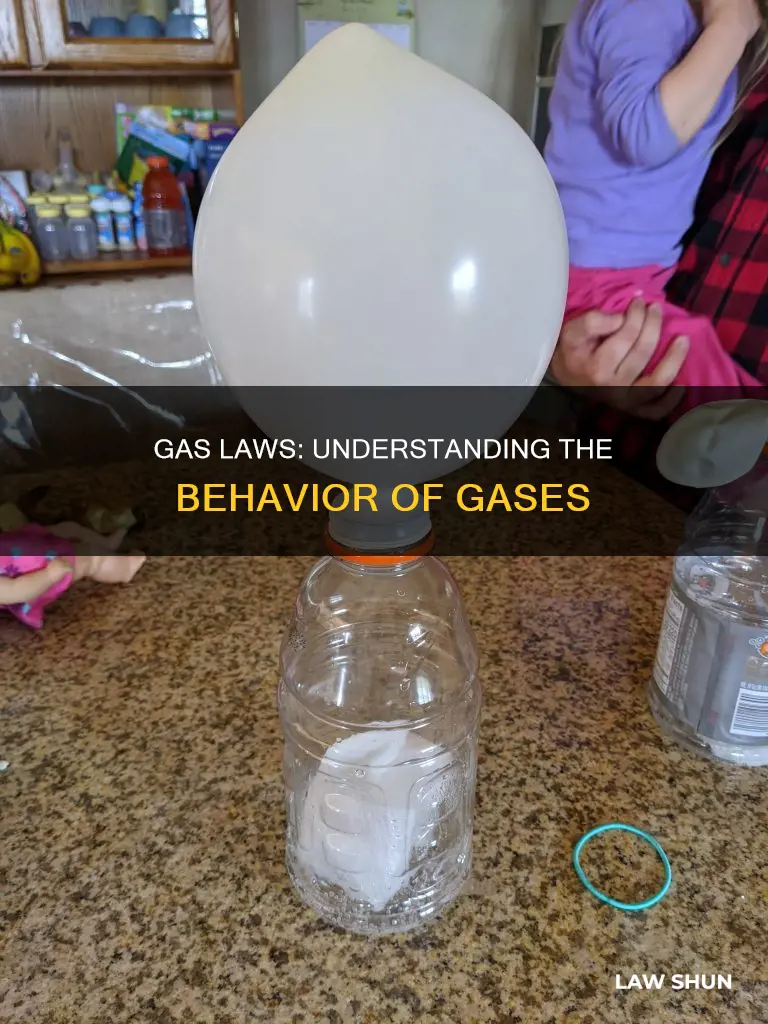 what are the different example of gas law