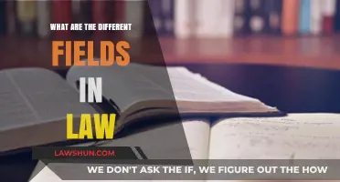 Exploring the Diverse Fields of Law