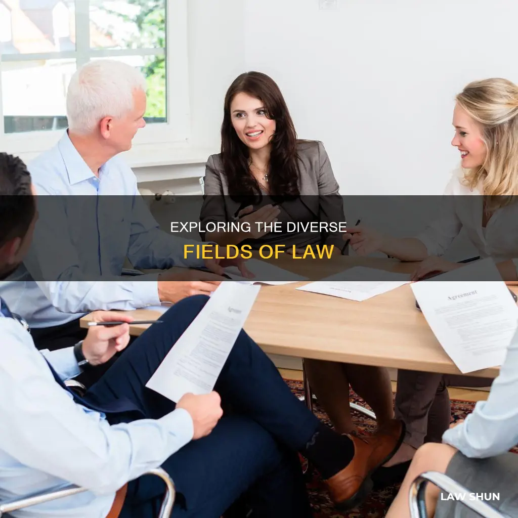 what are the different fields in law