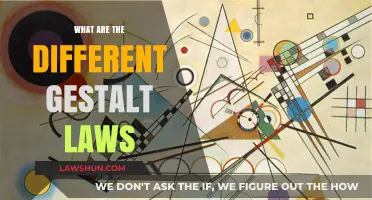 Gestalt Laws: Understanding Visual Perception Principles