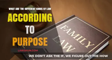 Laws: Their Purpose and Varied Nature