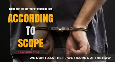 Exploring Law's Scope: Diverse Legal Realms