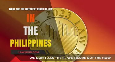 Philippine Laws: Understanding Their Diversity and Scope