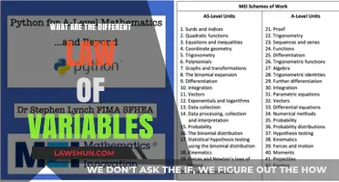 Understanding the Dynamic Laws of Variables