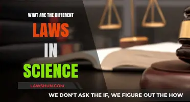Laws of Science: Understanding the Universal Rules