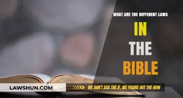 Biblical Laws: A Complex Web of Rules