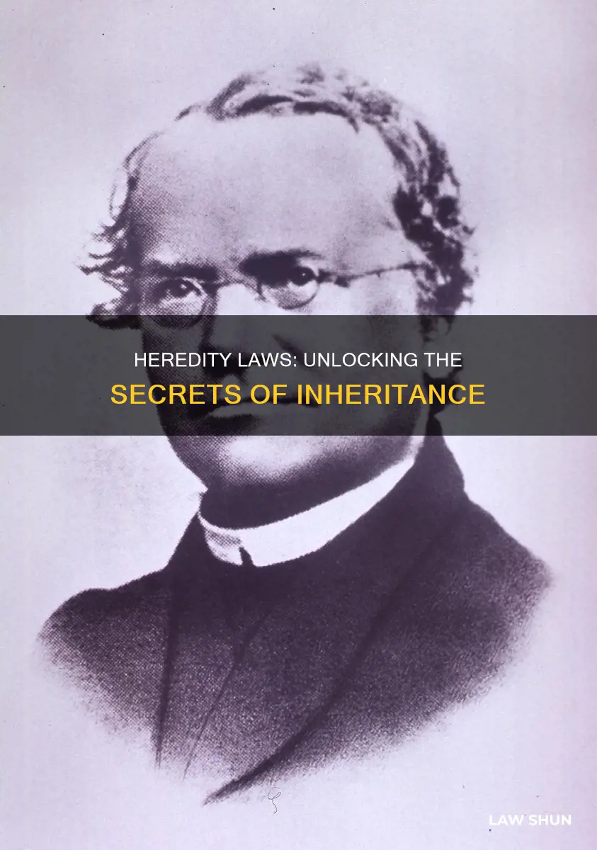 what are the different laws of heredity