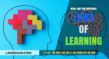 Learning Laws: Unlocking the Secrets of Knowledge Acquisition