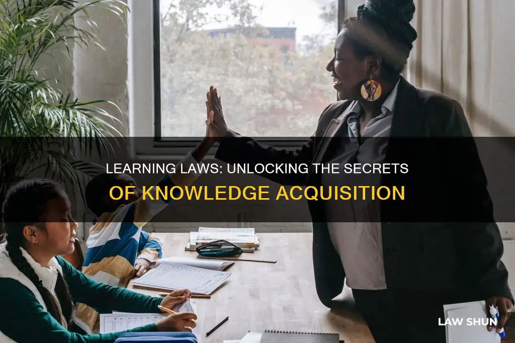 what are the different laws of learning