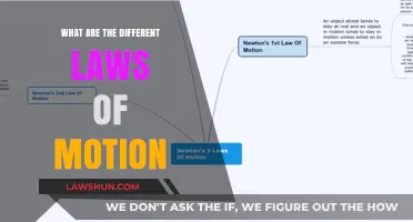 Understanding the Laws of Motion: Principles of Physics