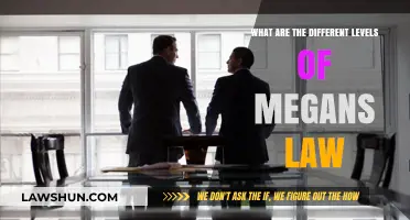 Understanding Megan's Law: Levels and Their Significance