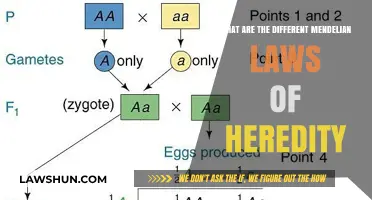 Exploring Mendel's Laws of Heredity: Principles Unveiled