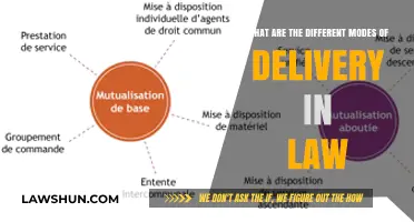 Modes of Delivery in Law: Exploring Varied Methods