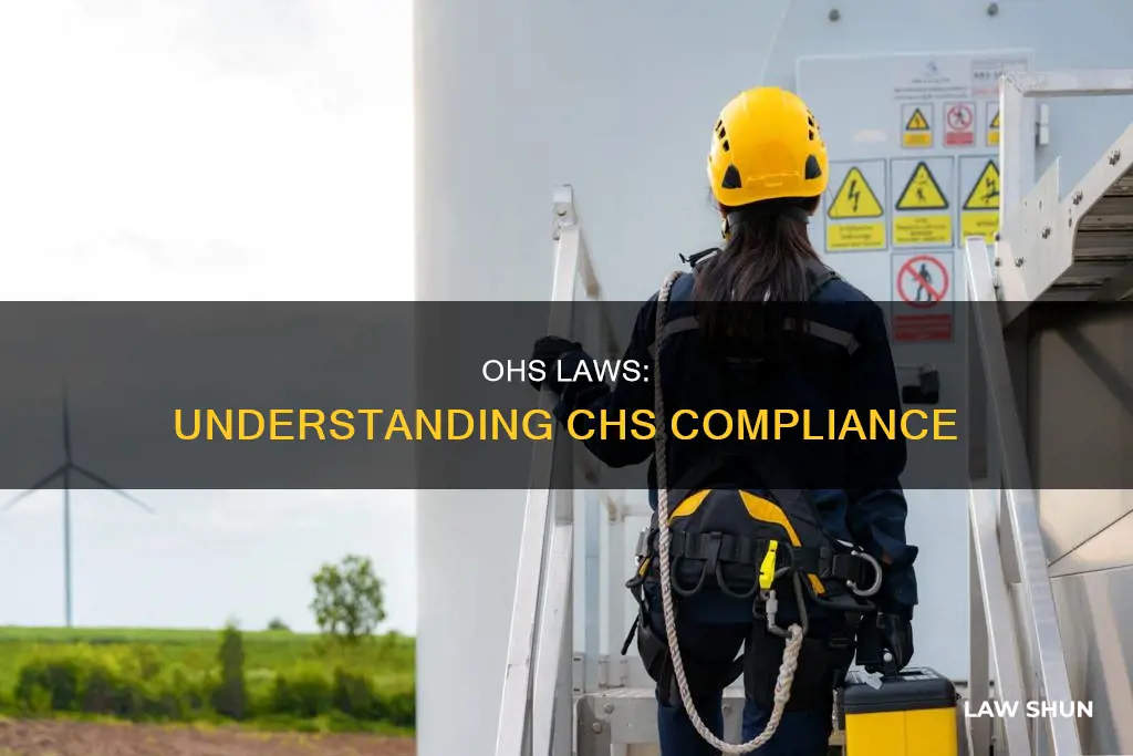 what are the different ohs laws in chs