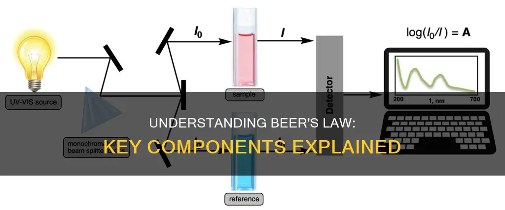 what are the different parts of beer