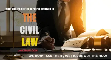 Civil Law: Who's Involved and Why?