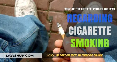 Cigarette Smoking: Policies, Laws, and Regulations Explained