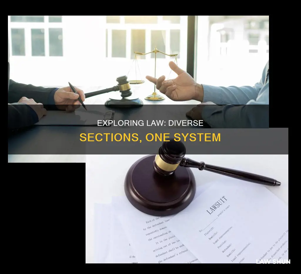what are the different sections of law