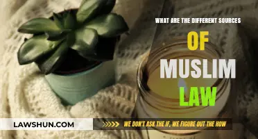 Muslim Law: Sources and Their Influence